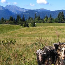 plateau d'agy