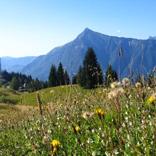 plateau d'agy