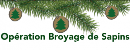 Broyage-sapins 2