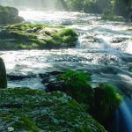 Guide à l’usage des propriétaires riverains des cours d’eau